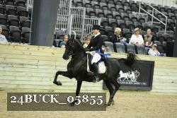 24BUCK_05855 thumbnail
