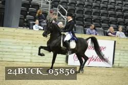 24BUCK_05856 thumbnail