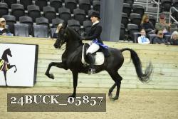 24BUCK_05857 thumbnail