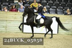 24BUCK_05858 thumbnail