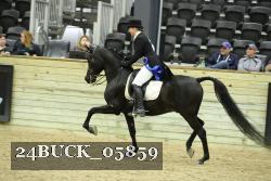 24BUCK_05859 thumbnail