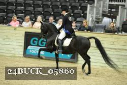 24BUCK_05860 thumbnail