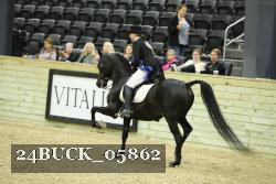 24BUCK_05862 thumbnail