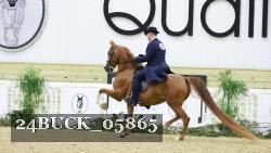 24BUCK_05865 thumbnail