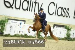 24BUCK_05866 thumbnail