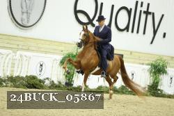24BUCK_05867 thumbnail