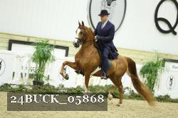 24BUCK_05868 thumbnail