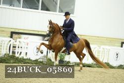 24BUCK_05869 thumbnail