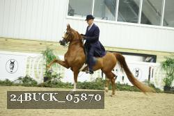 24BUCK_05870 thumbnail