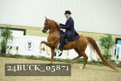 24BUCK_05871 thumbnail