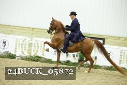 24BUCK_05872 thumbnail
