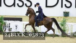 24BUCK_05873 thumbnail