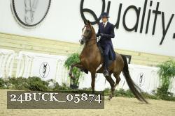 24BUCK_05874 thumbnail