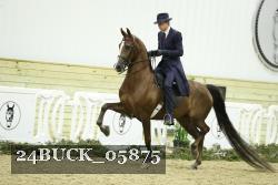 24BUCK_05875 thumbnail
