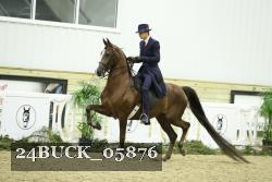 24BUCK_05876 thumbnail