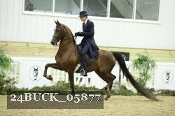 24BUCK_05877 thumbnail
