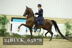 24BUCK_05878 thumbnail
