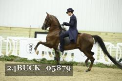 24BUCK_05879 thumbnail