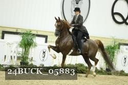 24BUCK_05883 thumbnail