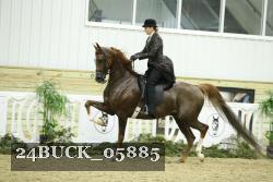 24BUCK_05885 thumbnail