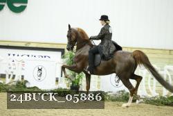 24BUCK_05886 thumbnail