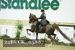 24BUCK_05887 thumbnail