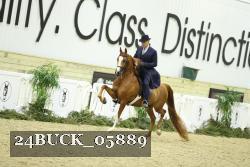 24BUCK_05889 thumbnail