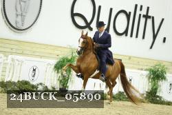 24BUCK_05890 thumbnail