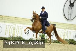 24BUCK_05891 thumbnail
