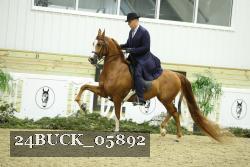 24BUCK_05892 thumbnail