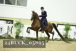 24BUCK_05895 thumbnail