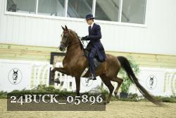24BUCK_05896 thumbnail