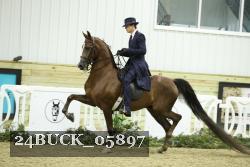 24BUCK_05897 thumbnail