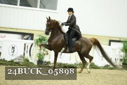 24BUCK_05898 thumbnail