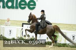 24BUCK_05900 thumbnail