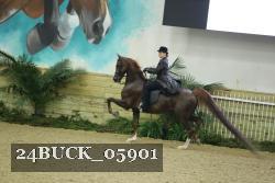 24BUCK_05901 thumbnail