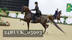 24BUCK_05903 thumbnail