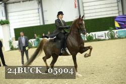 24BUCK_05904 thumbnail