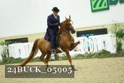 24BUCK_05905 thumbnail