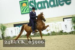 24BUCK_05906 thumbnail