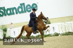 24BUCK_05907 thumbnail