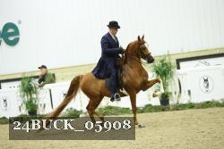 24BUCK_05908 thumbnail