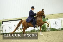 24BUCK_05909 thumbnail