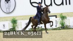 24BUCK_05911 thumbnail
