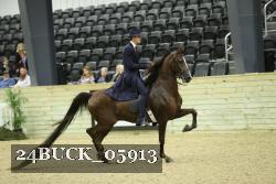 24BUCK_05913 thumbnail