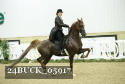 24BUCK_05917 thumbnail