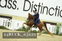 24BUCK_05929 thumbnail
