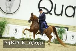 24BUCK_05931 thumbnail