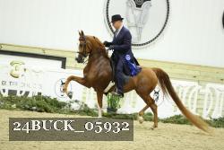 24BUCK_05932 thumbnail