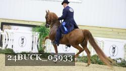 24BUCK_05933 thumbnail
